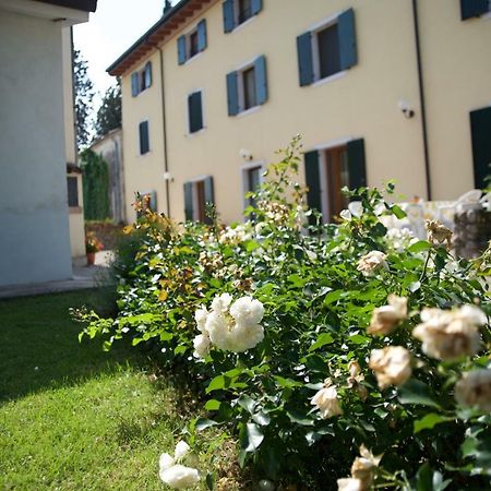 Agriturismo Albarello Villa Sona Exterior photo