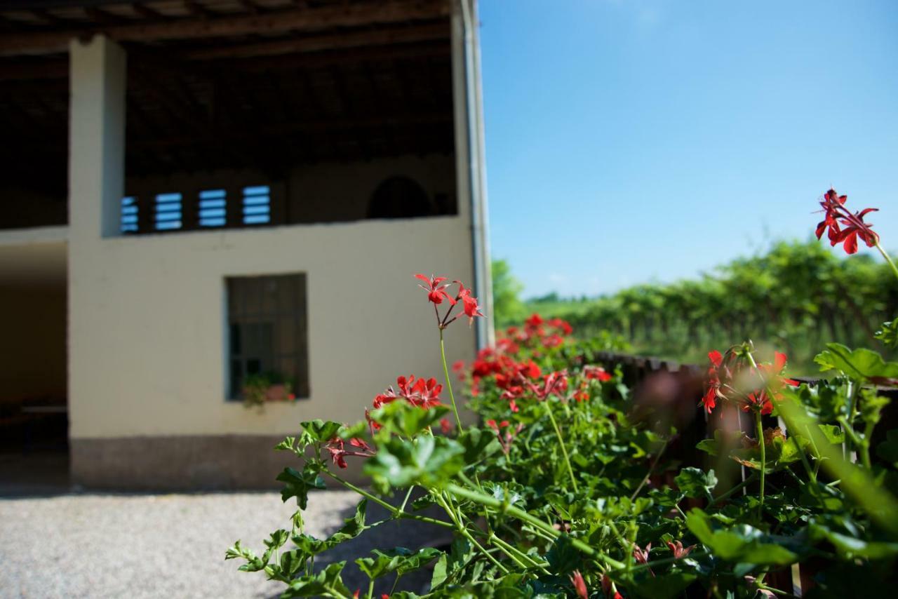 Agriturismo Albarello Villa Sona Exterior photo