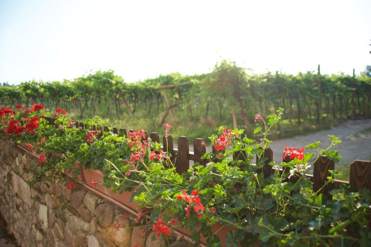 Agriturismo Albarello Villa Sona Exterior photo